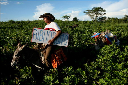 Biblioburro