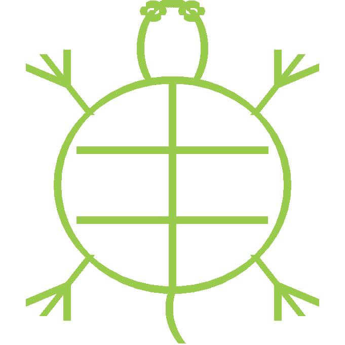 turtle